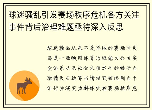 球迷骚乱引发赛场秩序危机各方关注事件背后治理难题亟待深入反思