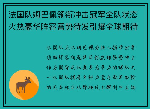法国队姆巴佩领衔冲击冠军全队状态火热豪华阵容蓄势待发引爆全球期待